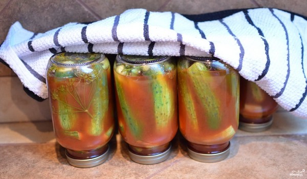 Pepinos com ketchup para o inverno - sem esterilização, em latas. Colheita para o pepino nítido e crocante de inverno com pimentão ketchup Pepinos com ketchup para o inverno - sem esterilização, em latas. Colheita para o pepino nítido e crocante de inverno com pimentão ketchup