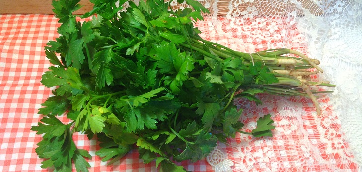 A receita de salsa fresca para o inverno
