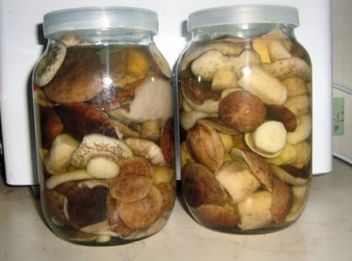 Coelhos para o inverno: métodos e receitas para tarugos