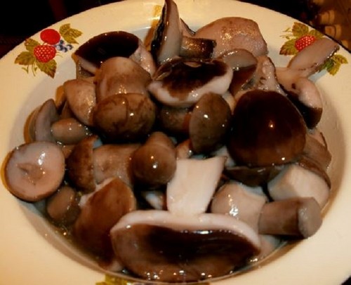 Coelhos para o inverno: métodos e receitas para tarugos
