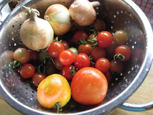 Cunhas de tomate para o inverno com cebolas - esboços de prescrição de fotos