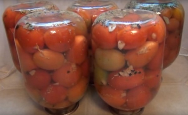 Tomates com alho para o inverno, receitas. Colhendo tomates com alho para o inverno: uma receita para cozinhar rápido, sem esterilização, salgada sem tomar banho