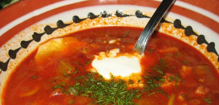 borsch delicioso