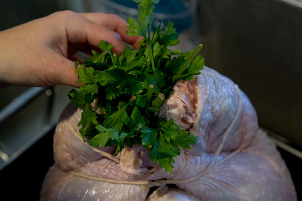 A receita de peru para o Ano Novo de 2017 e de Natal - no forno, no multivark, em uma frigideira, com molho de creme azedo e vegetais