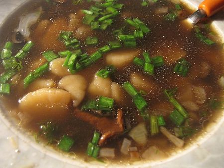 A receita de sopa de cogumelos secos, suas propriedades úteis