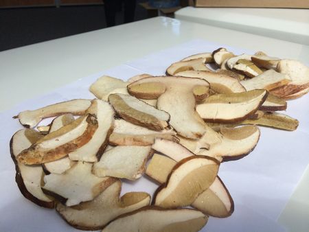 A receita de sopa de cogumelos secos, suas propriedades úteis