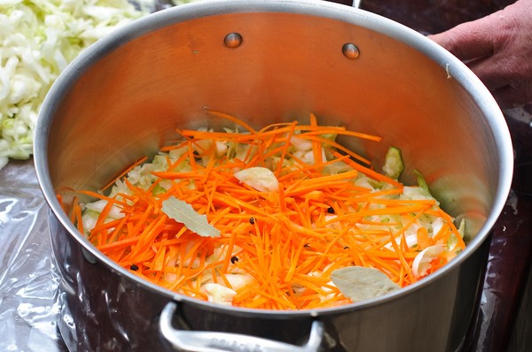 Receitas de repolho para o inverno: saladas saborosas, tartis sem vinagre, com aspirina, sem esterilização