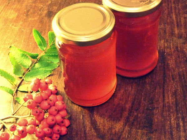Rowan para o inverno: receitas de tarugos do chokeberry vermelho e preto usual