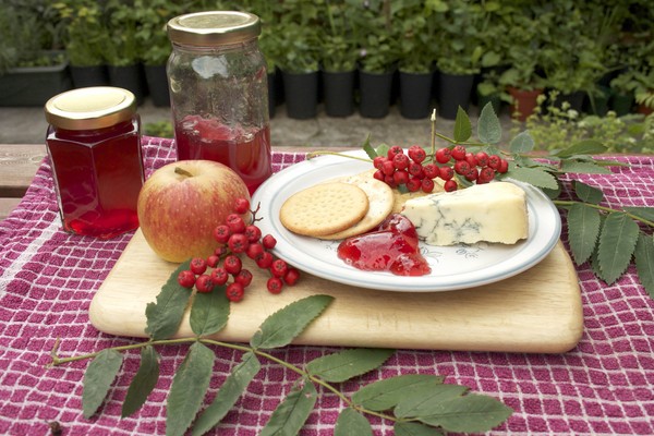 Rowan para o inverno: receitas de tarugos do chokeberry vermelho e preto usual