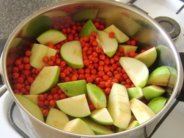 Rowan para o inverno: receitas de tarugos do chokeberry vermelho e preto usual
