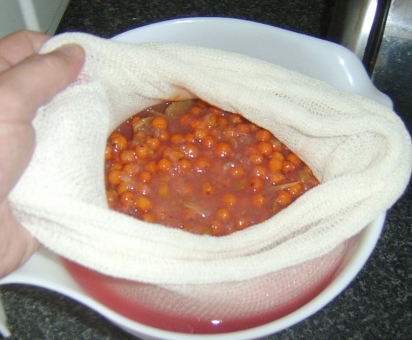 Rowan para o inverno: receitas de tarugos do chokeberry vermelho e preto usual