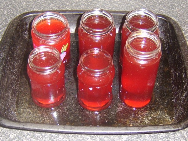 Rowan para o inverno: receitas de tarugos do chokeberry vermelho e preto usual