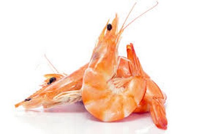 Salada de abacate com camarão