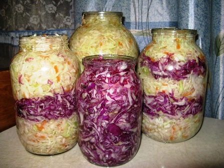 Salada de repolho vermelho para o inverno