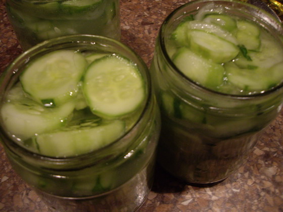 Salada de pepino para o inverno