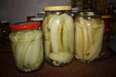 Salada de pepino para o inverno