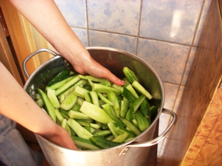 Salada de pepino para o inverno