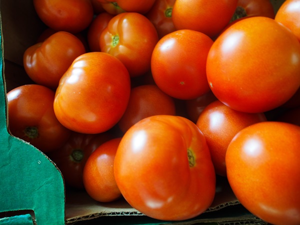 Salada de tomate para o inverno