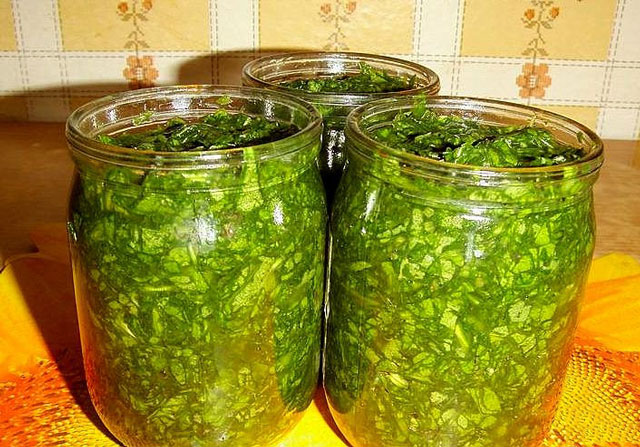 Como rolar sorrel para o inverno com sal Como rolar sorrel para o inverno com sal