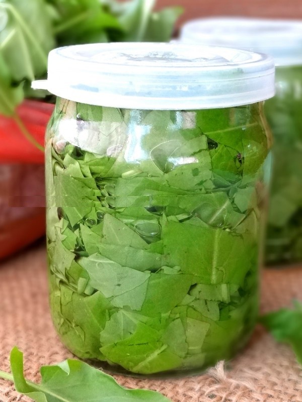 Green healer: as melhores receitas caseiras de sorrel