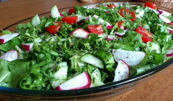 Green healer: as melhores receitas caseiras de sorrel