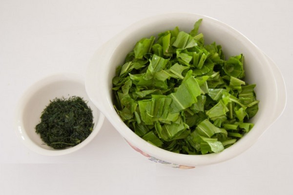Green healer: as melhores receitas caseiras de sorrel