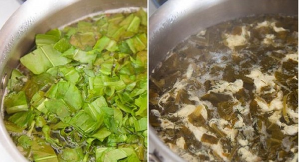 Green healer: as melhores receitas caseiras de sorrel