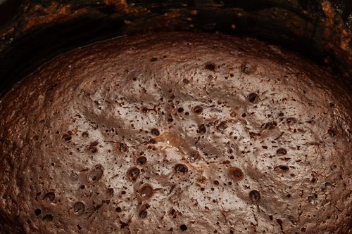 Cupcake de chocolate em multivarquet - receita rápida com foto
