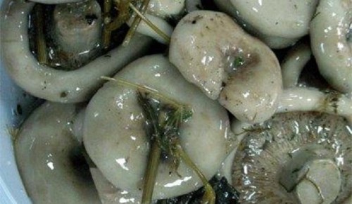 Passas para o inverno: receitas de culinária deliciosas e simples