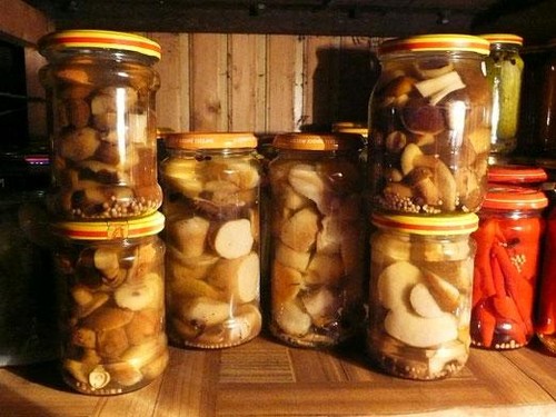 Centeio: receitas de culinária simples e deliciosas