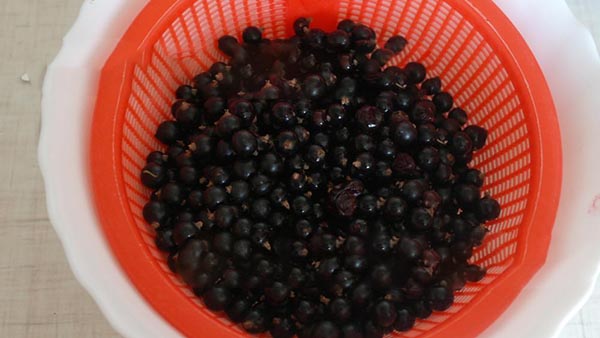 Groselha com açúcar para o inverno sem cozinhar, Pyatiminutka, congelada. Receita de groselha, ralada com açúcar no inverno (sem geladeira)