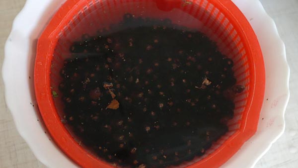 Groselha com açúcar para o inverno sem cozinhar, Pyatiminutka, congelada. Receita de groselha, ralada com açúcar no inverno (sem geladeira)