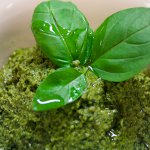 Molho Pesto: receita