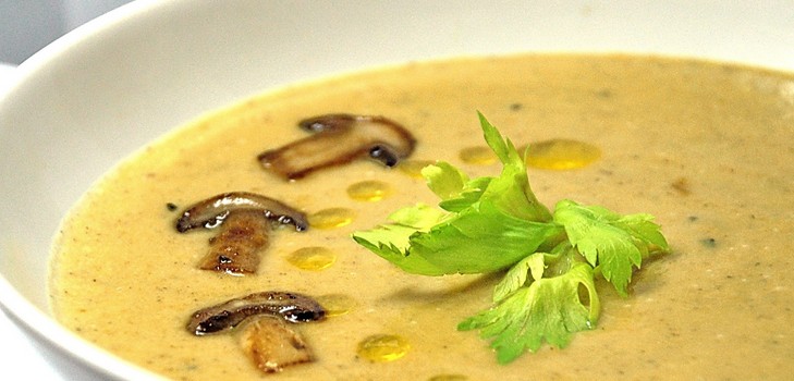 Sopa de casca de bétula: receitas com foto