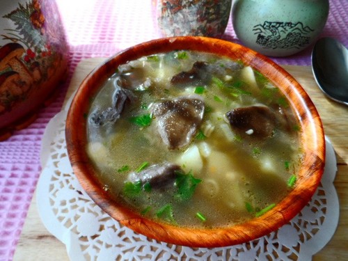 Sopa de casca de bétula: receitas com foto