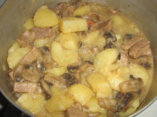 Cogumelos brancos secos: receitas para cozinhar