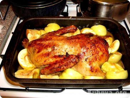 Pato no forno: quão saboroso cozinhar?