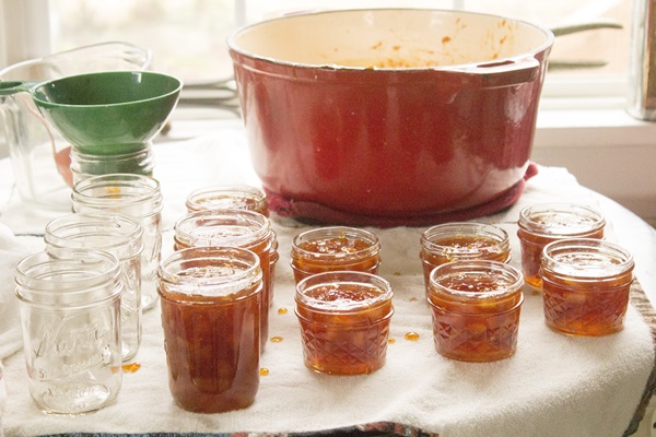 Atolamento de laranjas e cascas de laranja: receitas passo a passo com fotos
