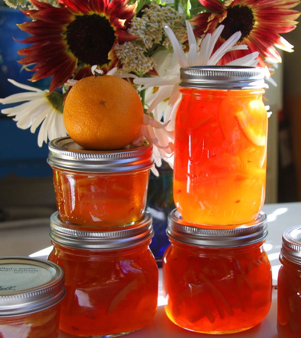 Atolamento de laranjas e cascas de laranja: receitas passo a passo com fotos