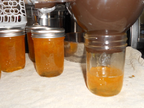 Atolamento de laranjas e cascas de laranja: receitas passo a passo com fotos