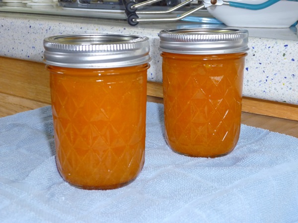 Atolamento de laranjas e cascas de laranja: receitas passo a passo com fotos