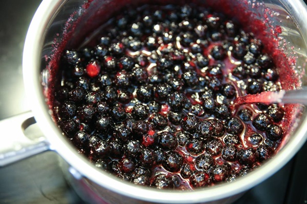 Atolamento de chokeberry preto
