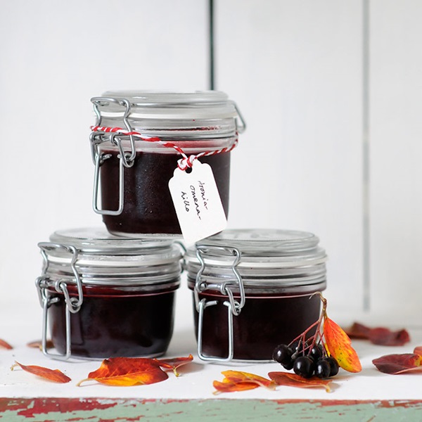 Atolamento de chokeberry preto
