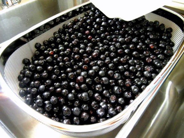 Atolamento de chokeberry preto