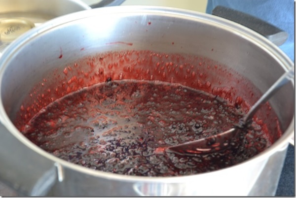 Atolamento de chokeberry preto