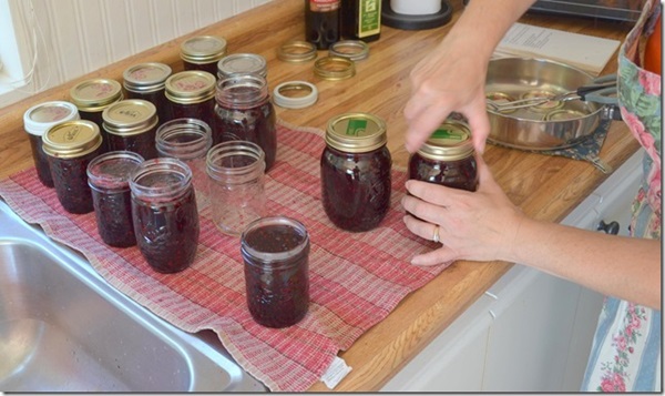 Atolamento de chokeberry preto