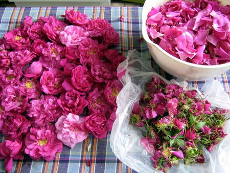 Atolamento das pétalas de rosas Atolamento das pétalas de rosas