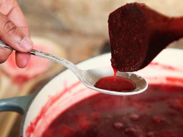 Como criar breu de uma ameixa com uma pedra e pitted - receitas simples