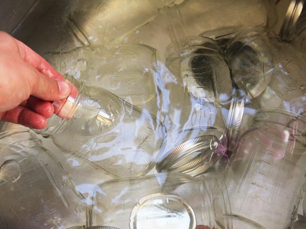 Como criar breu de uma ameixa com uma pedra e pitted - receitas simples