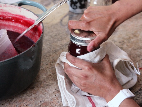 Como criar breu de uma ameixa com uma pedra e pitted - receitas simples